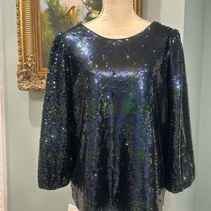 Crown & Ivy navy and green sequin top L